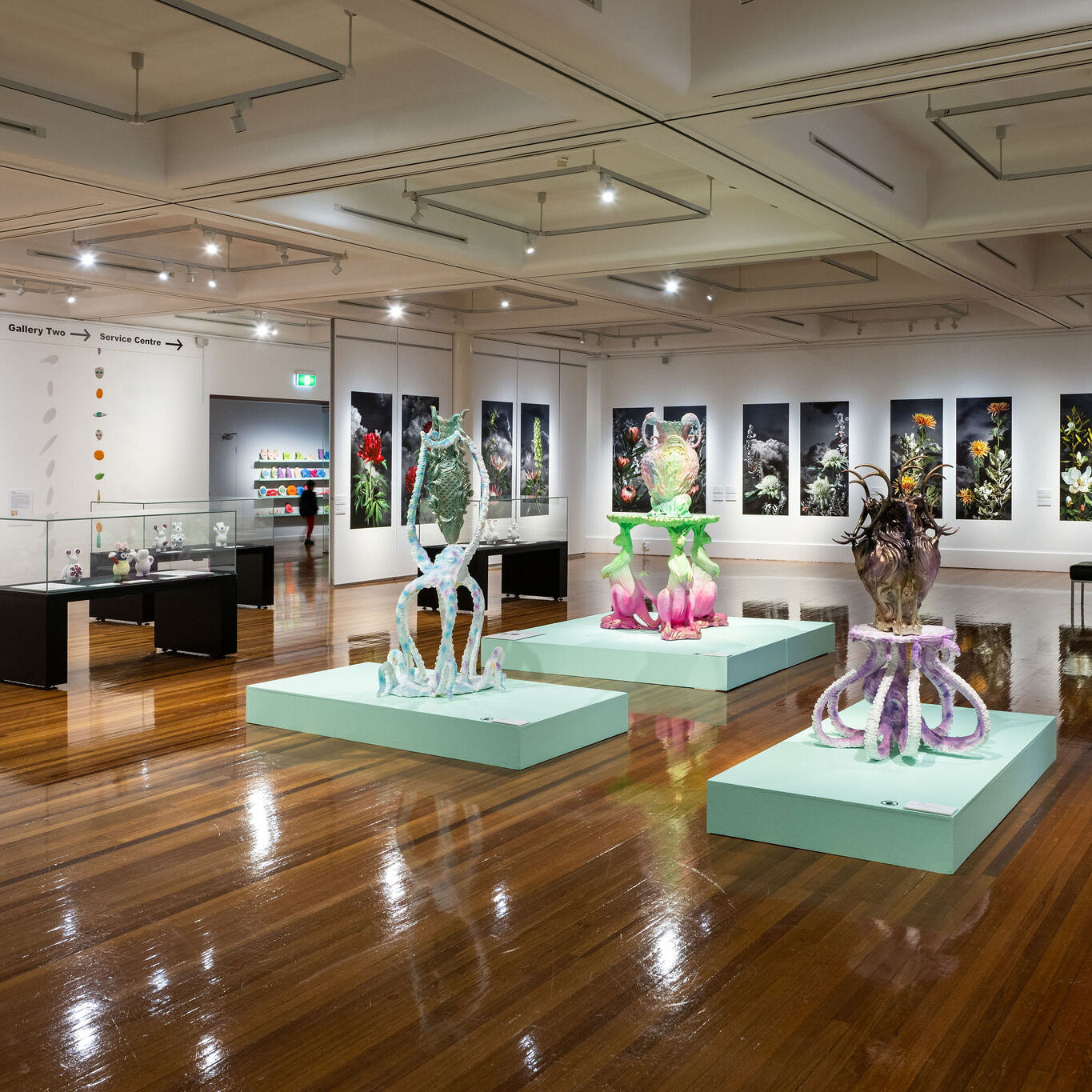 Glen Eira City Council Gallery, Flourish installation, 2023. James McPherson Photography.