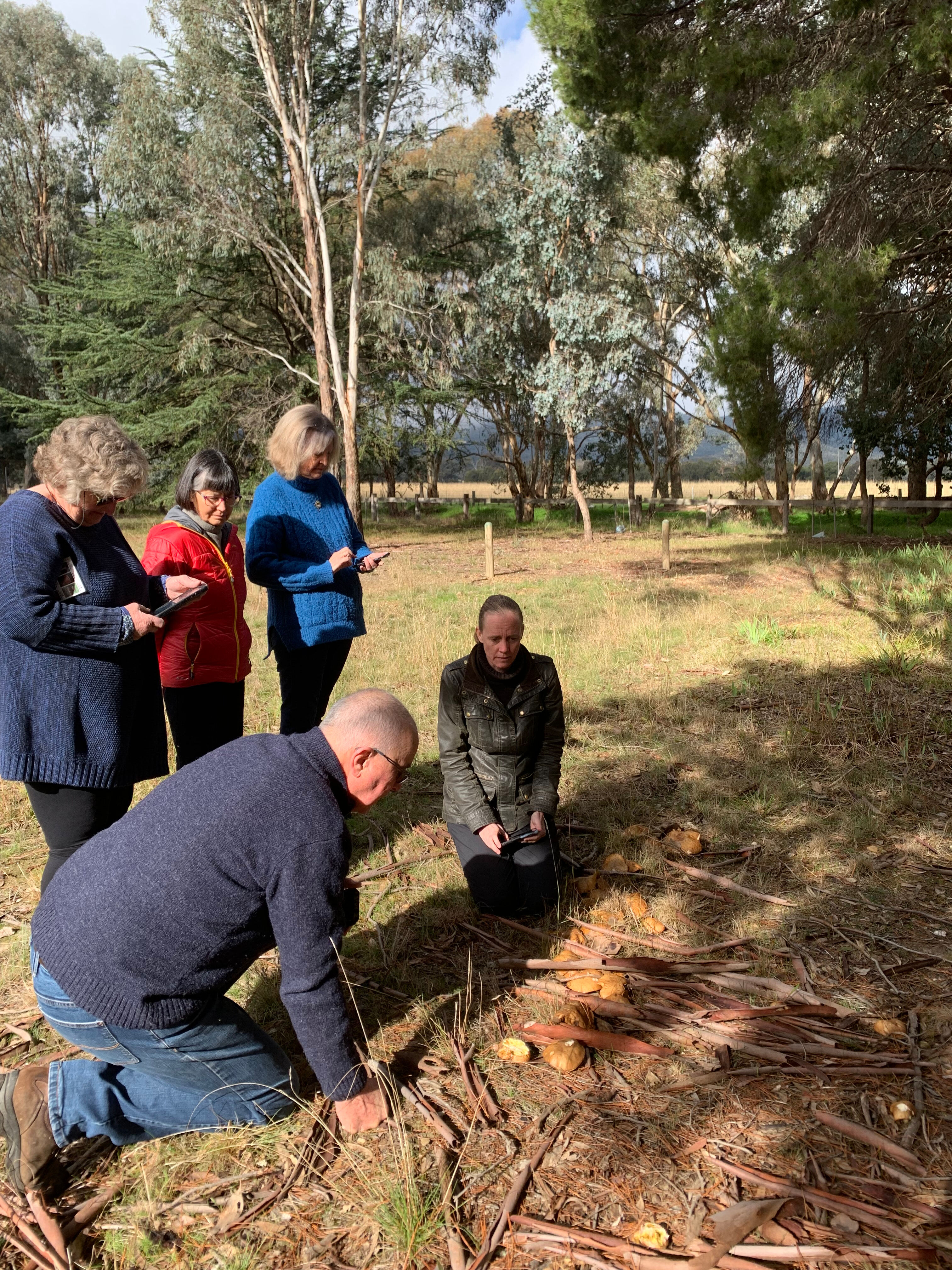 SPARK WANGARATTA nature journaling workshops with Karen Retra 2