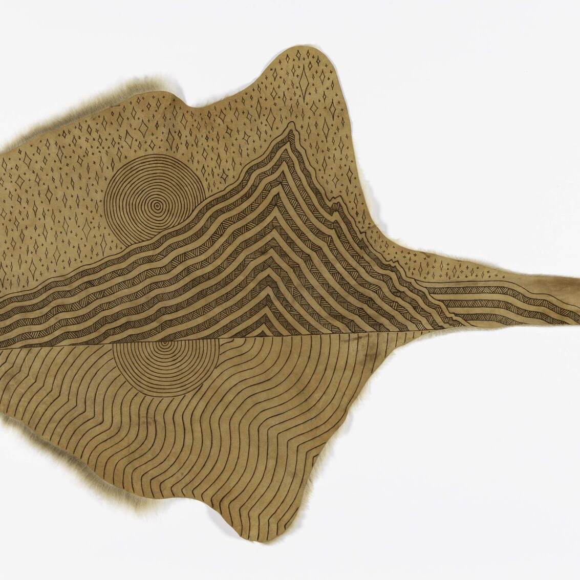 NEWS NETS VICTORIA EDF KHT