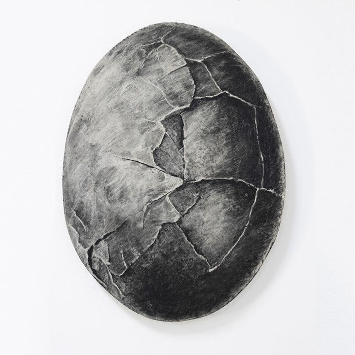 Anna Louise Richardson, Good egg, 2023, Charcoal on cement fibreboard, 50x37x3cm, photo Bo Wong square