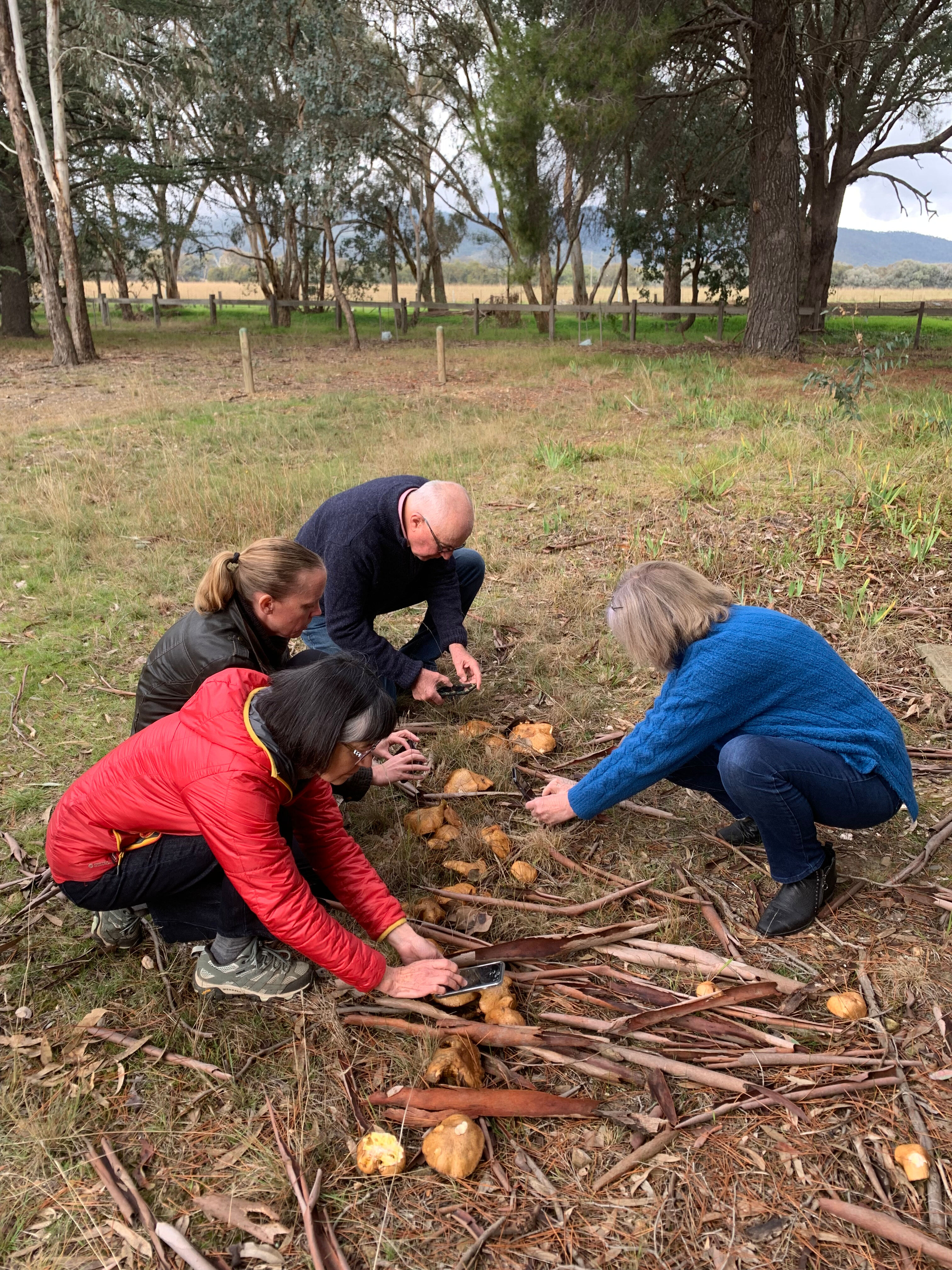 SPARK WANGARATTA nature journaling workshops with Karen Retra 1