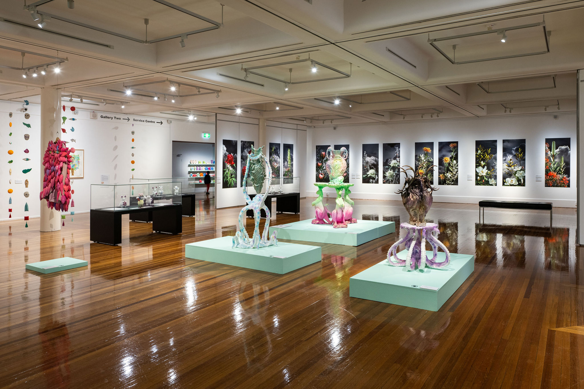 Glen Eira City Council Gallery, Flourish installation, 2023. James McPherson Photography.