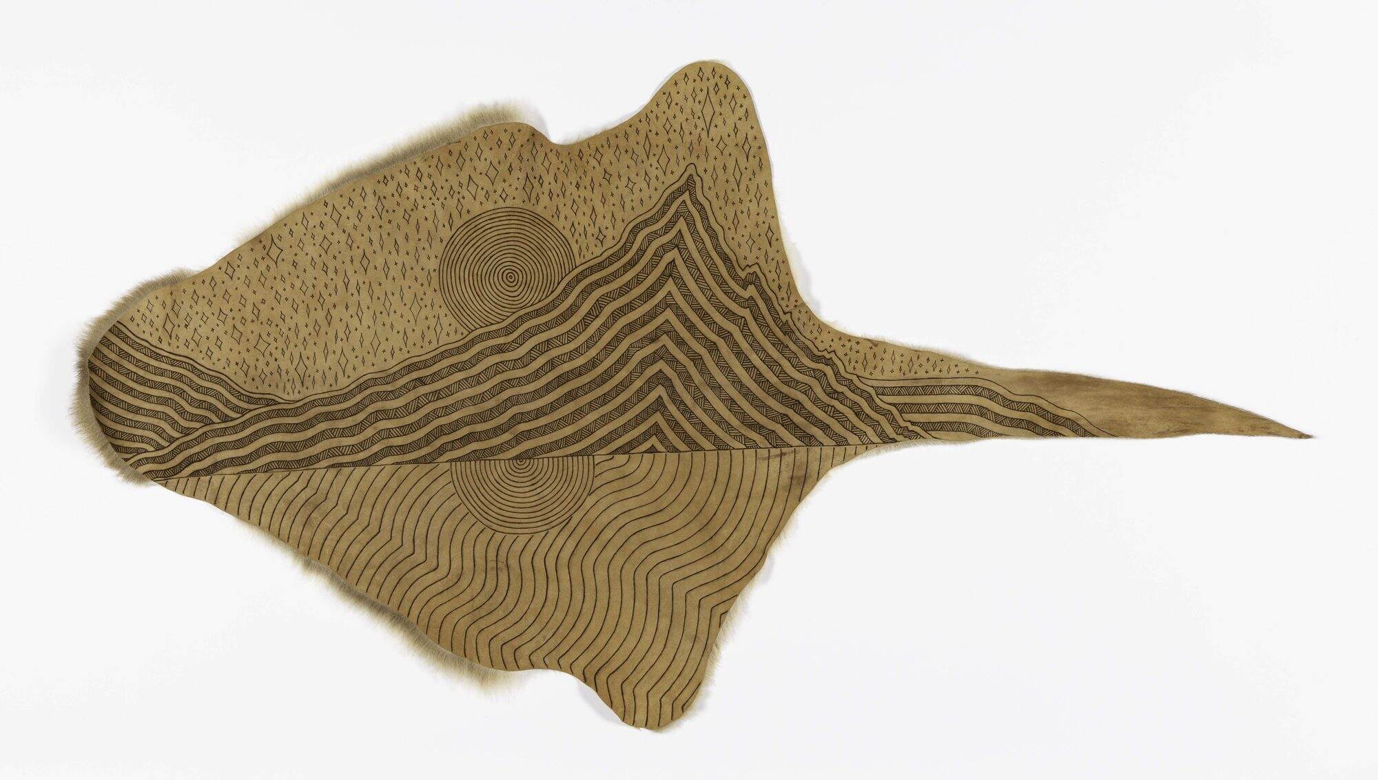 NEWS NETS VICTORIA EDF KHT