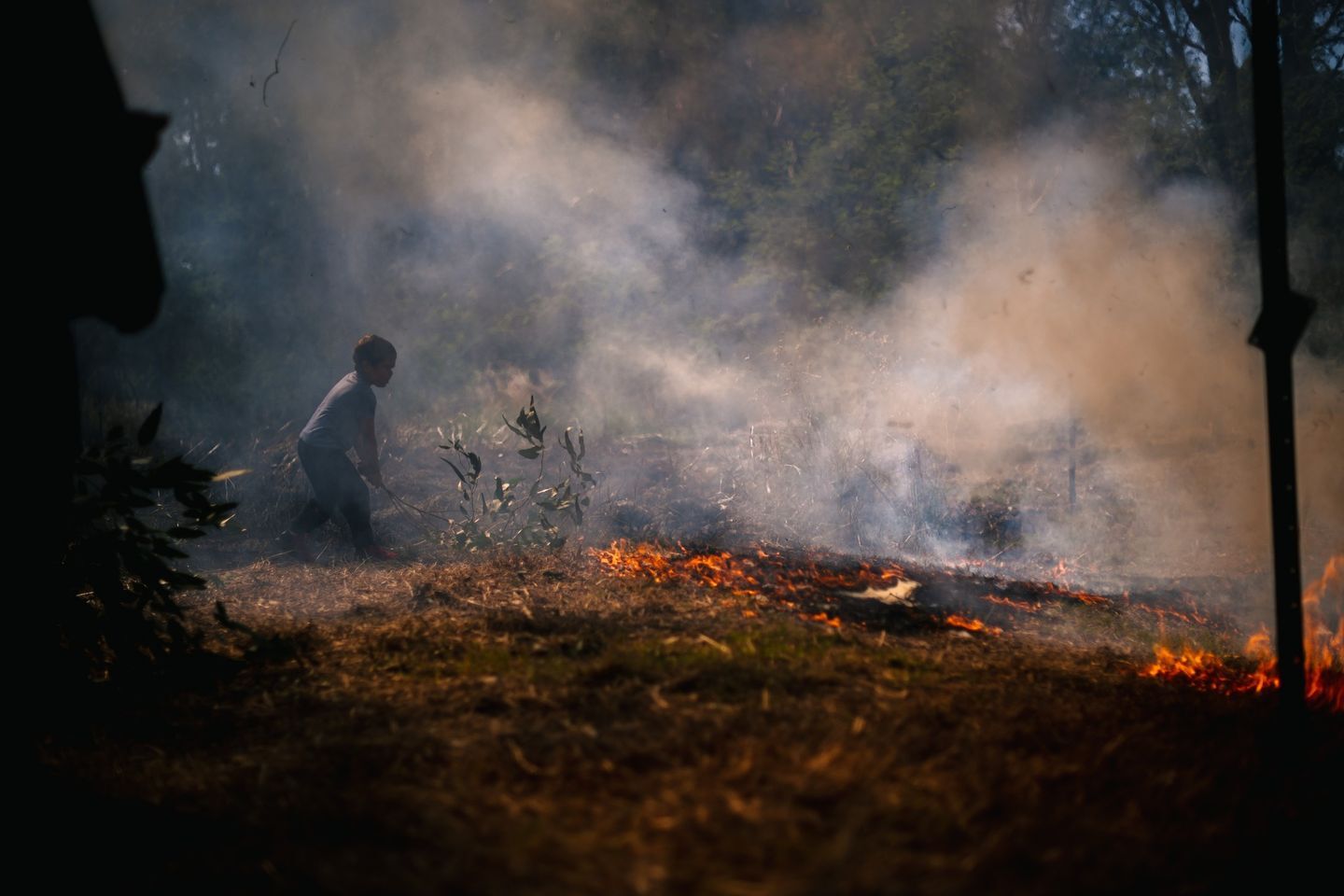 Still from Wangaratta Art Gallery Sprak Bushfire Recovery Program - VR Film